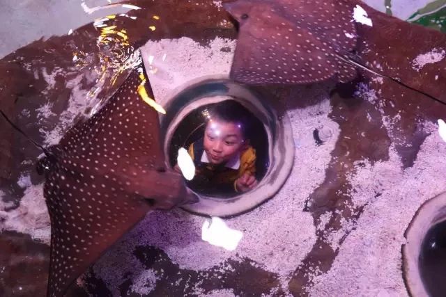 99元畅玩上海欢乐谷,99元畅玩川内30个景区