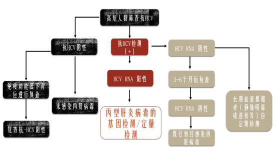 90%的人都不了解，沉默的杀手究竟是一种怎样的存在？