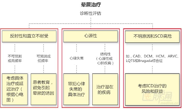 棘手的晕厥诊治，这份来自哈佛的简洁手册堪称典范！|专家视角