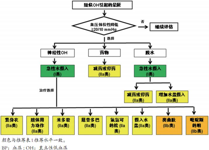 棘手的晕厥诊治，这份来自哈佛的简洁手册堪称典范！|专家视角