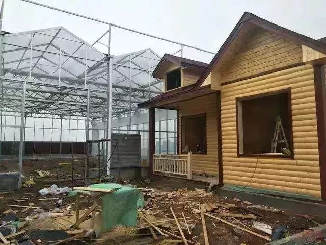 临沂最新违建房 (临沂严查房产整顿)