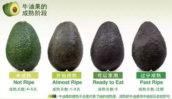 牛油果有关词语,牛油果的营销词汇