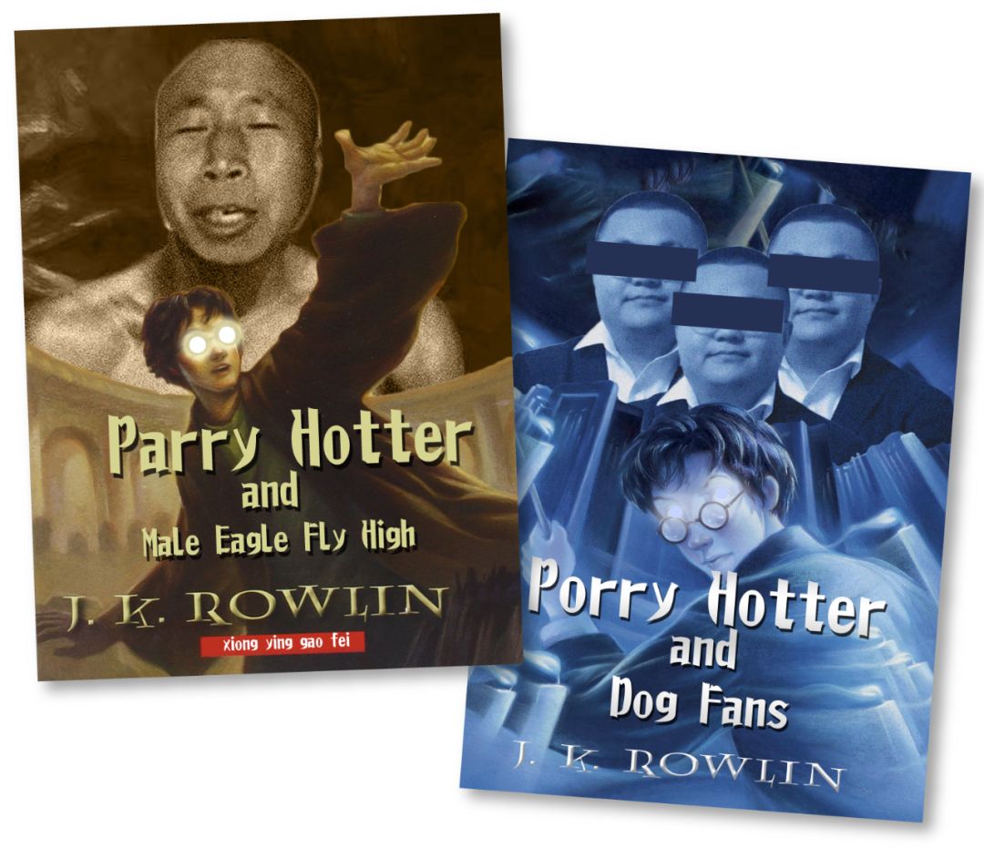 你看过哈利波特吗语录,哈利波特计分漏斗都长啥样