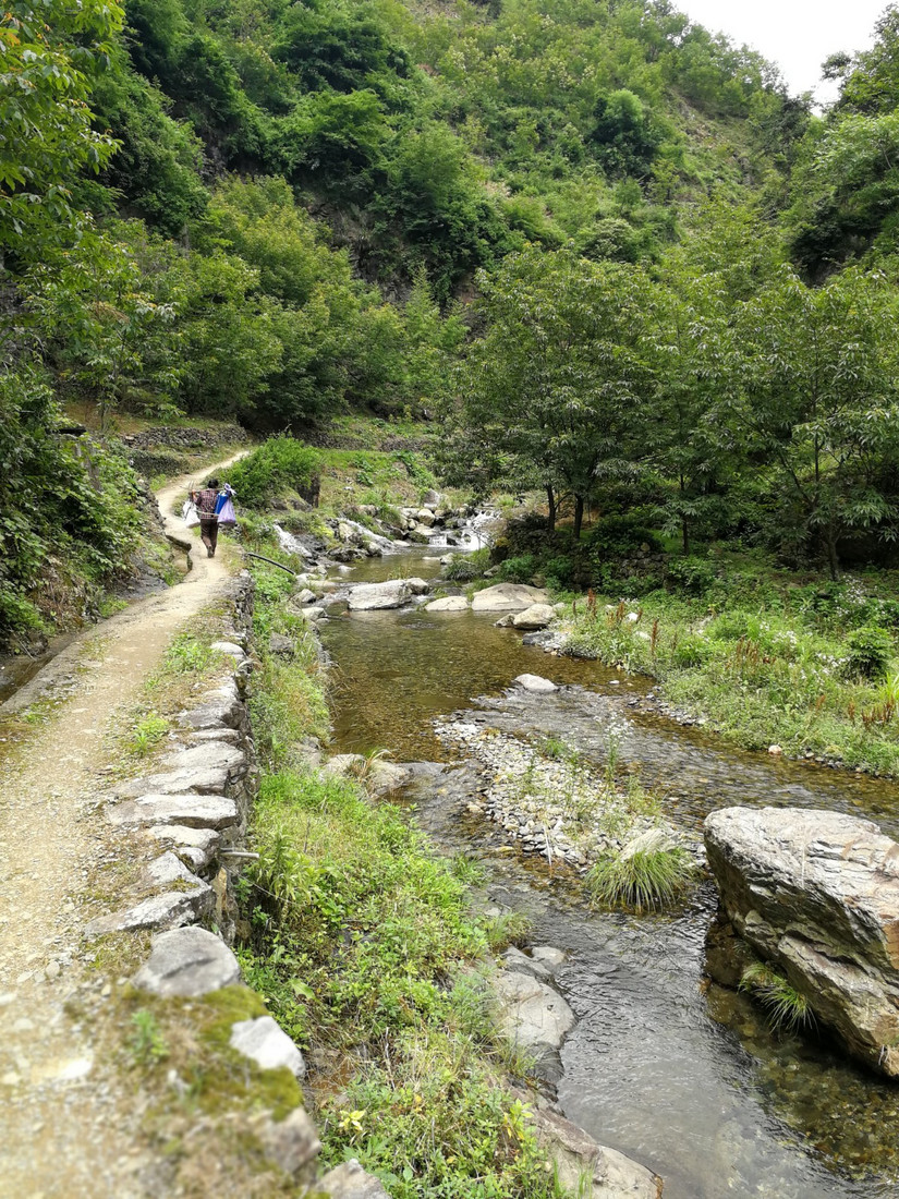 搁船尖登顶难度,搁船尖天目山光明顶
