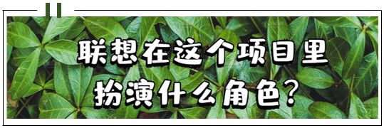 联想集团真实状况,联想在延庆