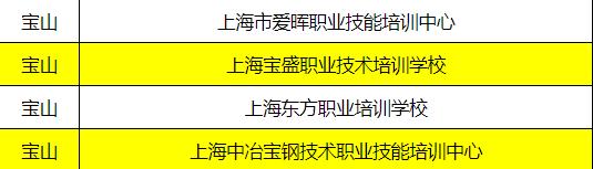 职业技能培训哪家强？宝山这几家*级A**培训机构了解一下！