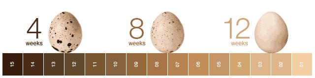 5个祛斑小妙招淡化晒斑雀斑痘印,痘印晒斑和疤痕用什么产品比较好