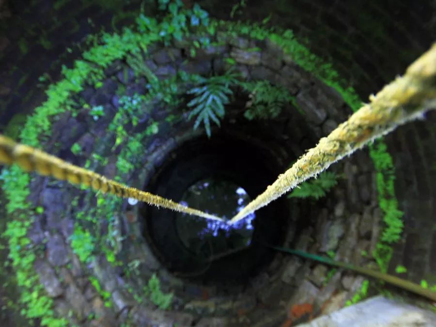 为了身体健康让孩子喝牛奶,让孩子喝上放心的牛奶就那么难吗