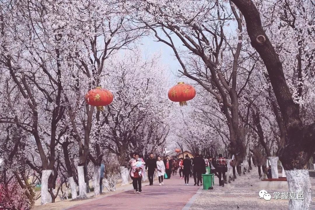 夏邑的来历是什么,夏邑有什么大的发展
