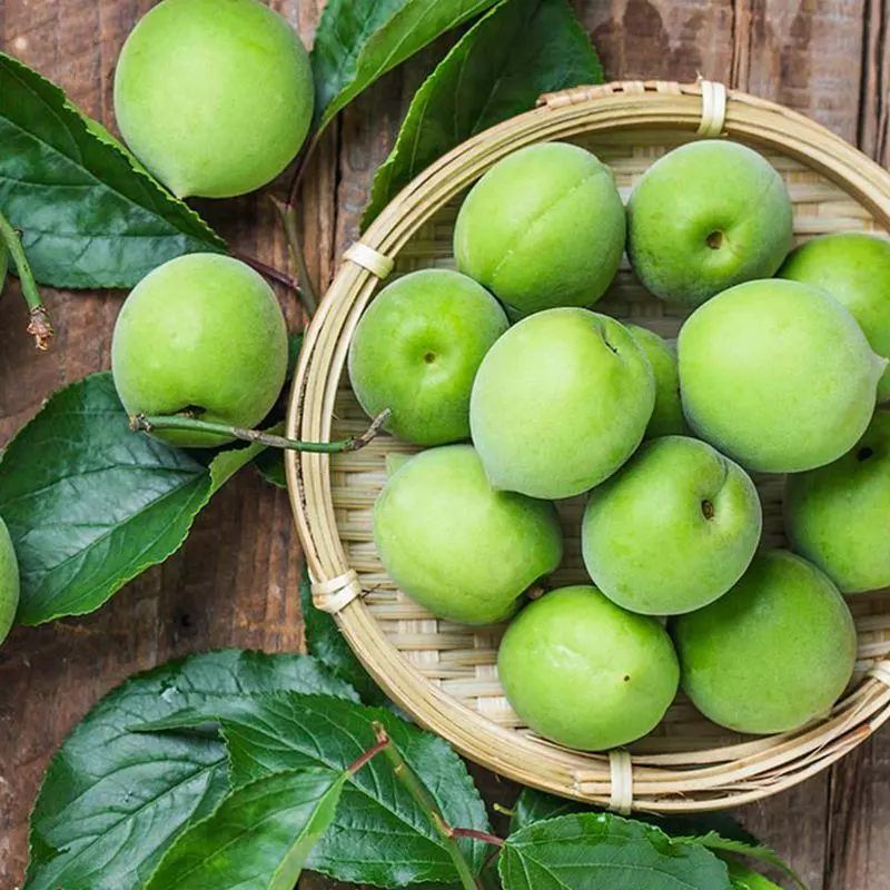 西梅是不是原来的李子,西梅不是李子的西梅