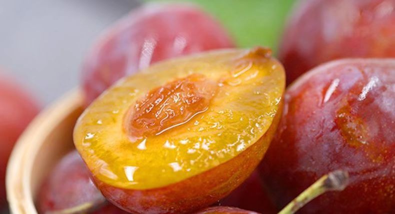 西梅是不是原来的李子,西梅不是李子的西梅