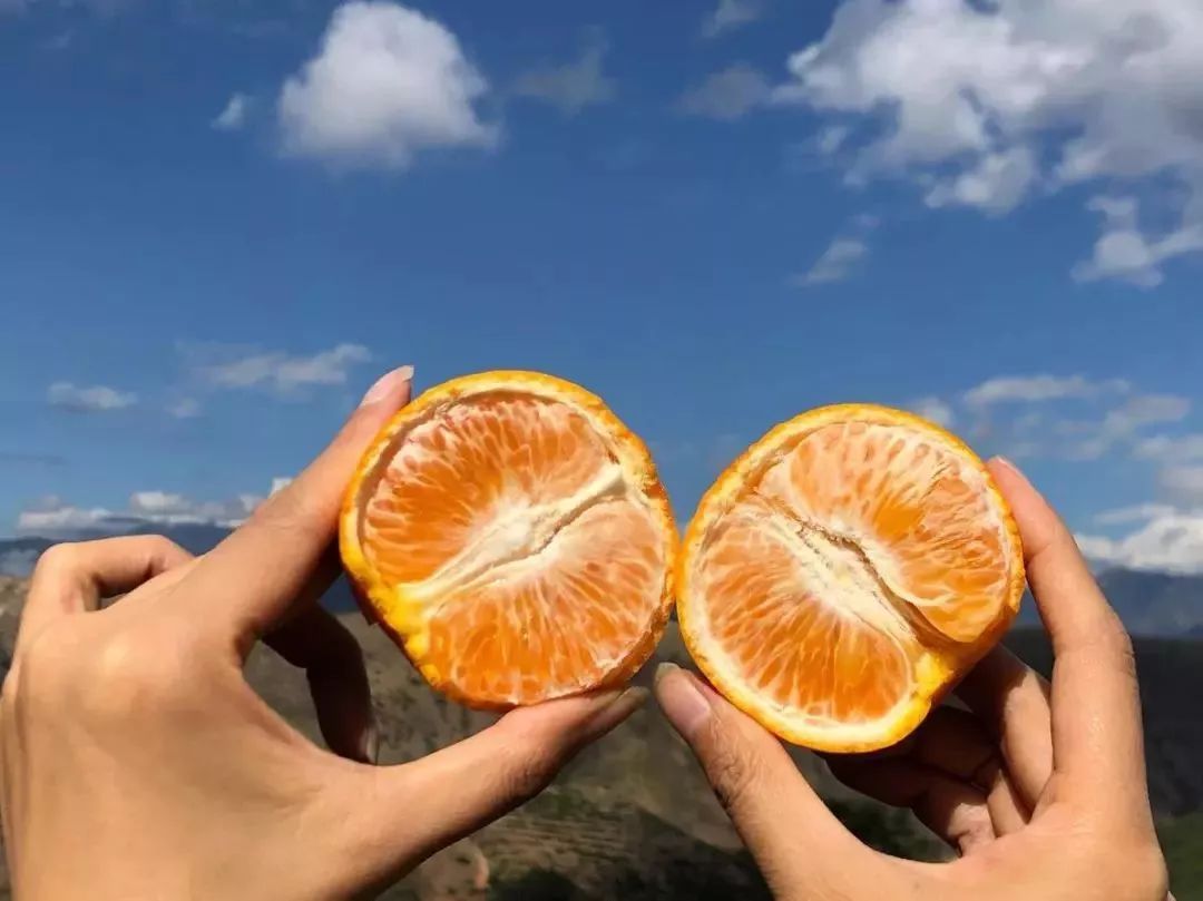 小心“柑”！桔子中的“爱马仕”即将空降义乌（粉丝专享价，仅预售两天！）