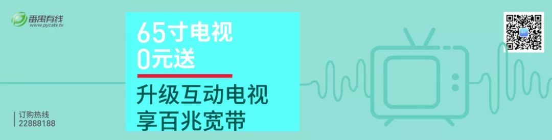 渔人码头今天新闻,渔人码头湛江最新新闻