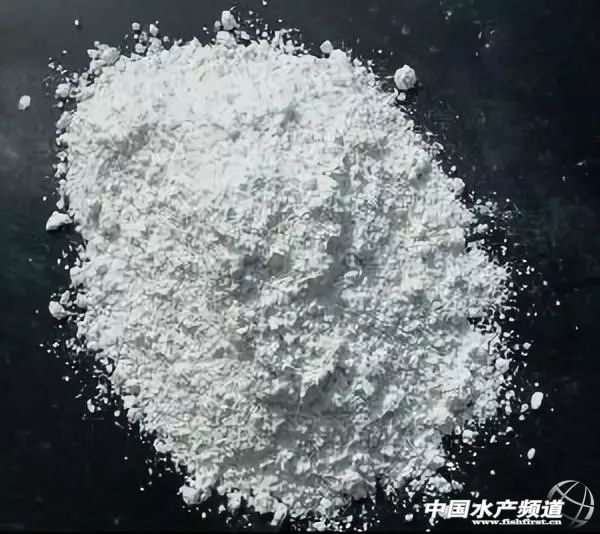 常见鱼鳃病,鱼类最难治的病