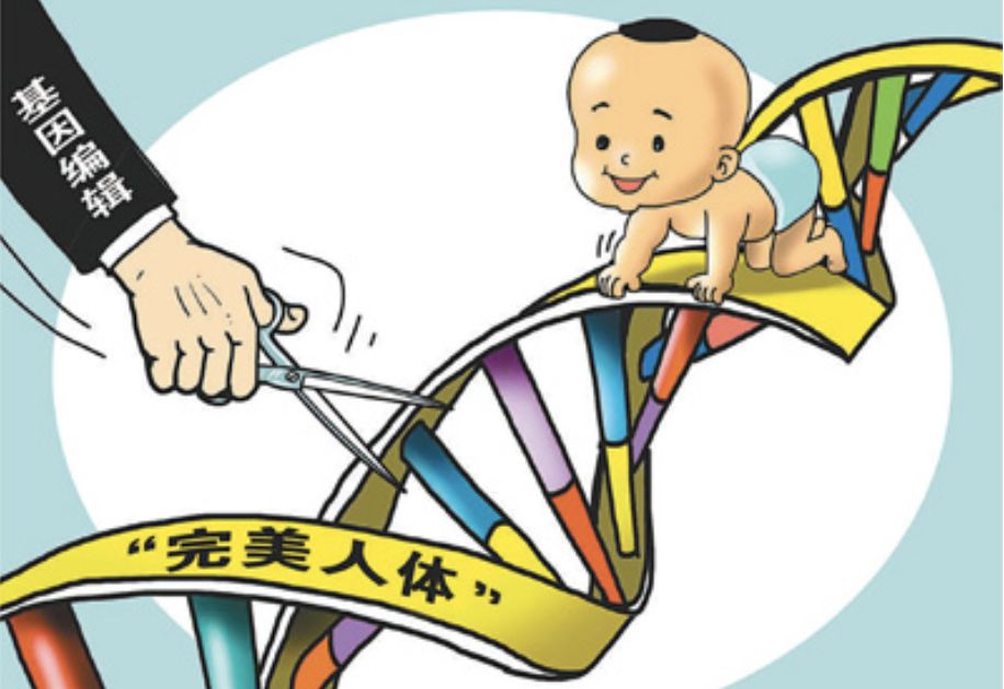 清华思客｜肖巍：基因编辑婴儿事件引发的生物医学科学技术的伦理思考