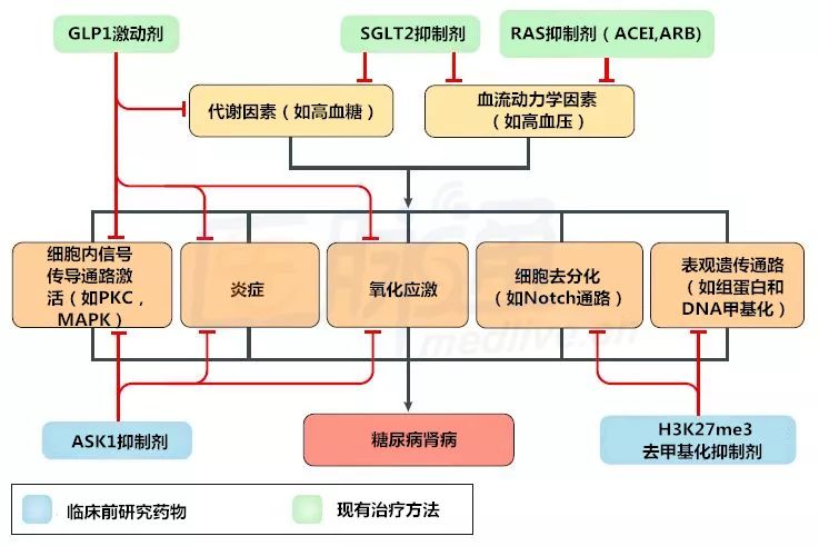 糖尿病肾病的护理新进展,糖尿病肾病最新治疗方法