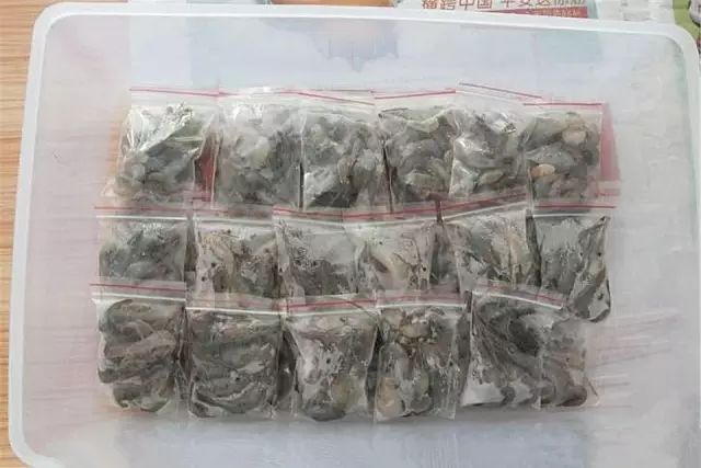 中等大小河虾怎么处理,放河虾笼的技巧视频