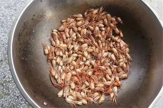 中等大小河虾怎么处理,放河虾笼的技巧视频
