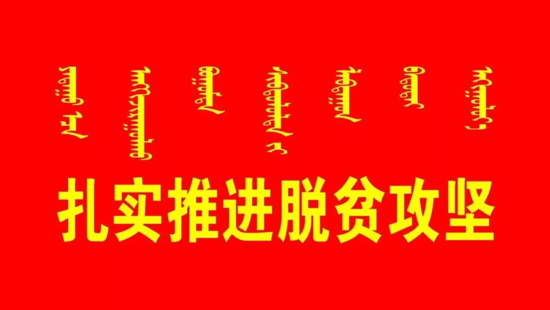 助推打赢脱贫攻坚战,决胜全面小康决战脱贫攻坚战