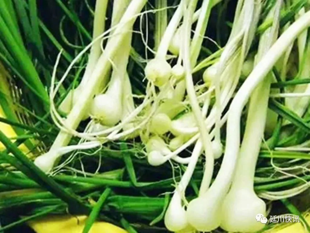 刘凤珍最美散文,刘凤珍散文精选