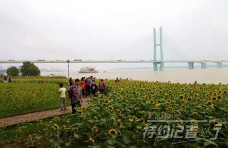 荆州老照片的回忆,最新荆州老照片