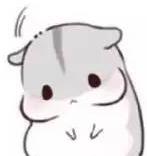 如何防止狗狗患上老年痴呆,什么狗狗竟然也会得老年痴呆