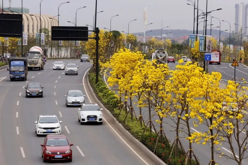 广西人传染病,广西人感染新冠