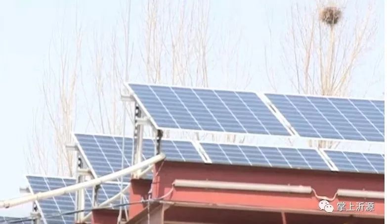 这个村的“阳光绿伞”真不赖，分分钟能赚钱！