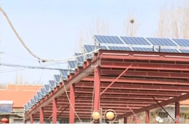 这个村的“阳光绿伞”真不赖，分分钟能赚钱！