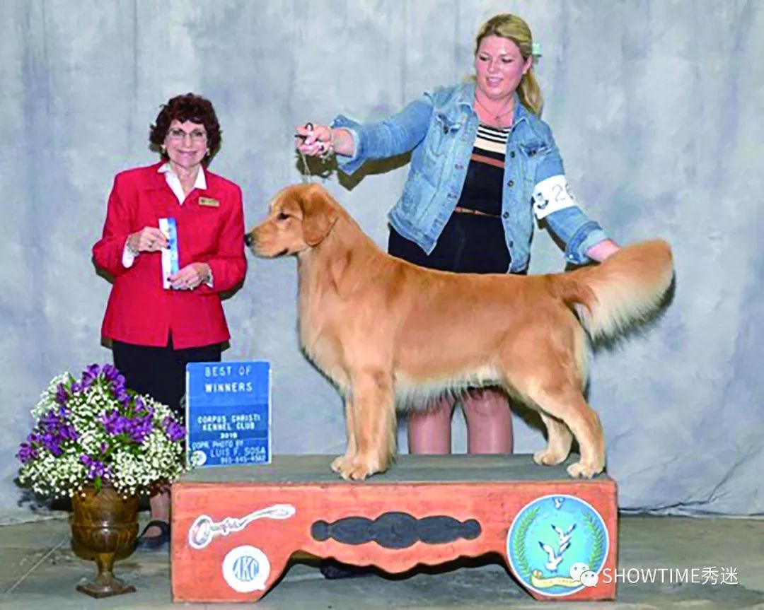 Elyn：非常安静内向的……野姑娘。|犬学知识专业版封面故事