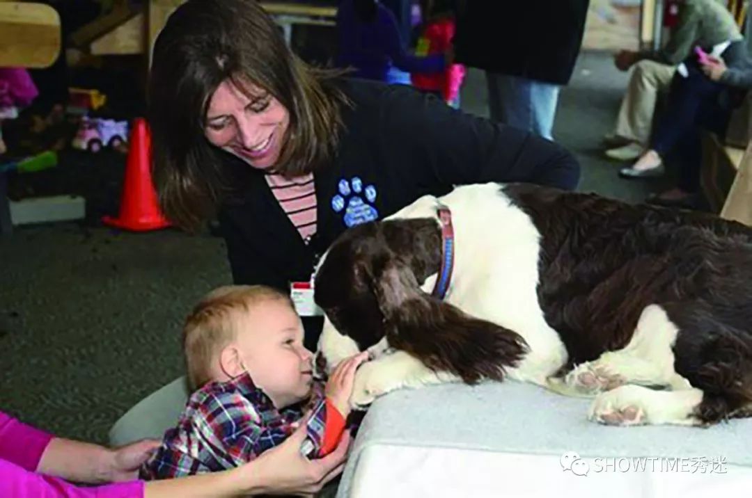 Elyn：非常安静内向的……野姑娘。|犬学知识专业版封面故事