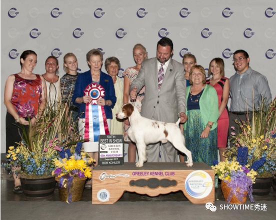 Elyn：非常安静内向的……野姑娘。|犬学知识专业版封面故事