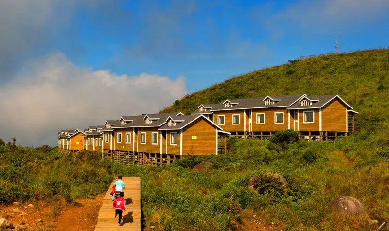 集装箱式民宿推荐,福建特色树屋民宿度假屋结构