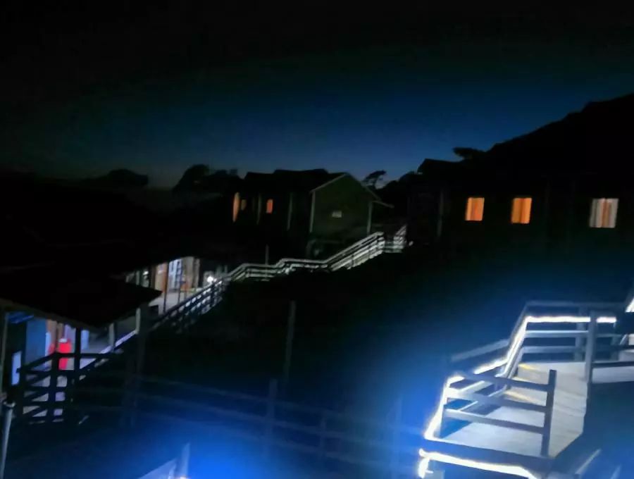 集装箱式民宿推荐,福建特色树屋民宿度假屋结构