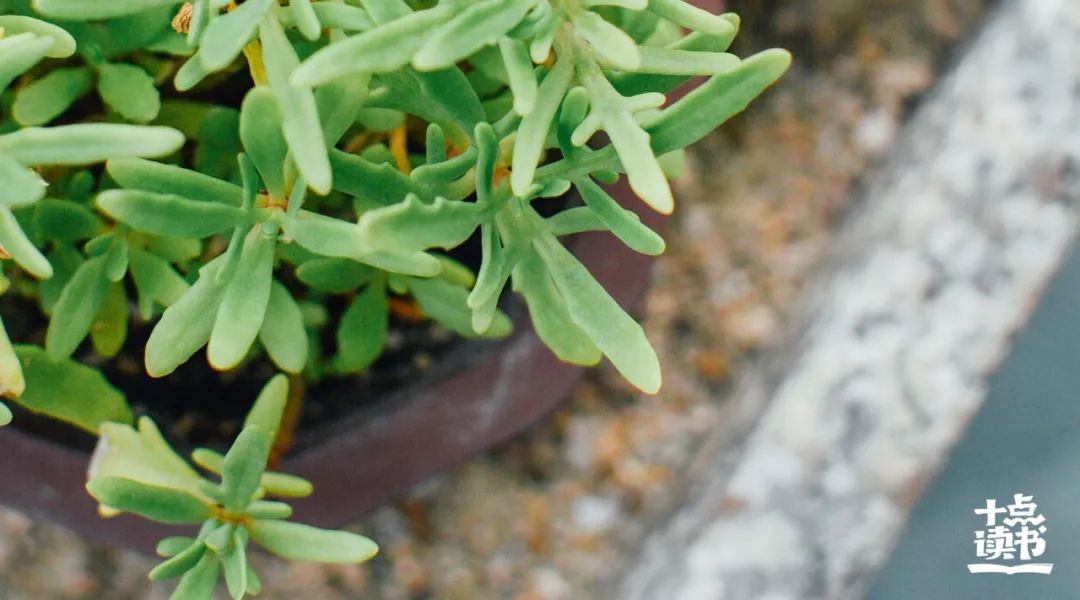 人到四十有三不言三不争三不比,做人三不笑三不叫三不吵三不忘