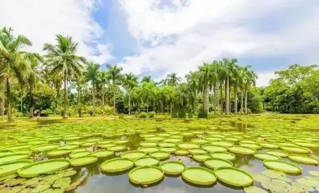 沈阳飞西双版纳直飞几个小时,沈阳直飞西双版纳机票多少钱