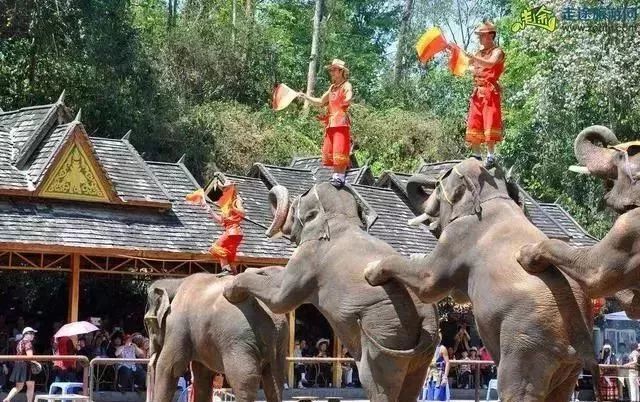 沈阳飞西双版纳直飞几个小时,沈阳直飞西双版纳机票多少钱