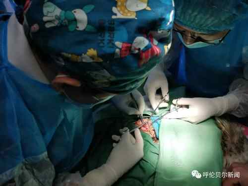 蒙古雕鸮,大鸟雕鸮