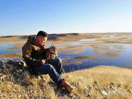 蒙古雕鸮,大鸟雕鸮