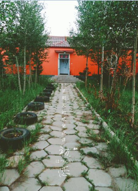 北京出发坝上草原旅游攻略,云南坝上草原自驾游攻略