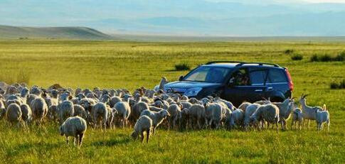 北京出发坝上草原旅游攻略,云南坝上草原自驾游攻略