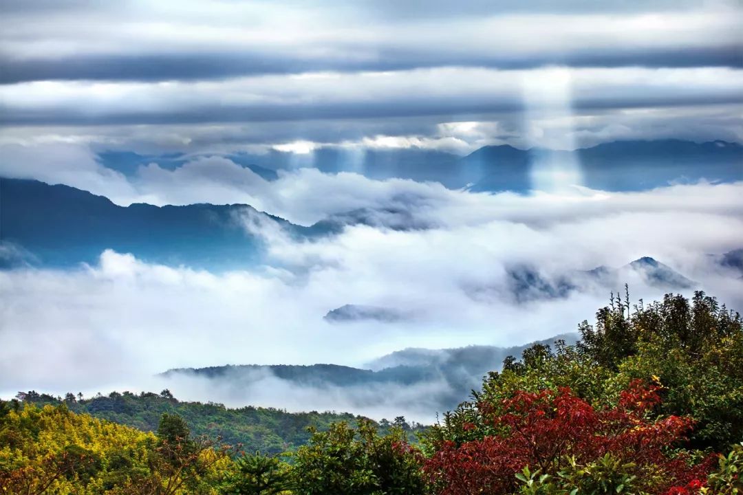 老家乡在梅州,老家梅州周边城市