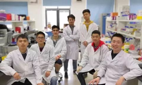 蓝藻人造叶片系统,蓝藻人造叶片工作原理