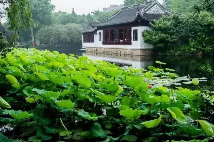 吵翻了！魔都16区终于正面PK！哪个是你心中的C位担当？