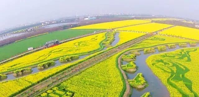 吵翻了！魔都16区终于正面PK！哪个是你心中的C位担当？