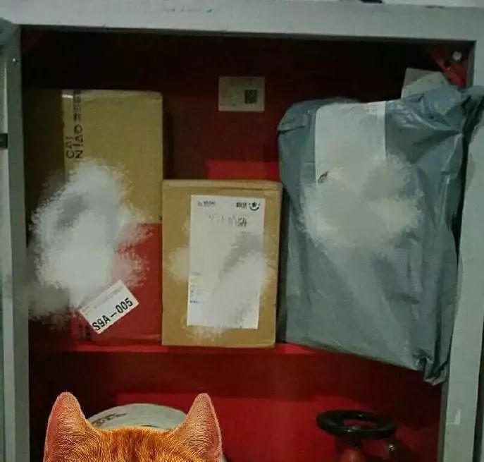 发生火灾防火栓没水怎么办,发生火灾灭火器里没有水