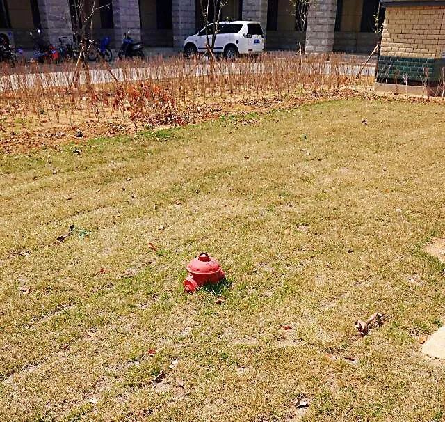 发生火灾防火栓没水怎么办,发生火灾灭火器里没有水