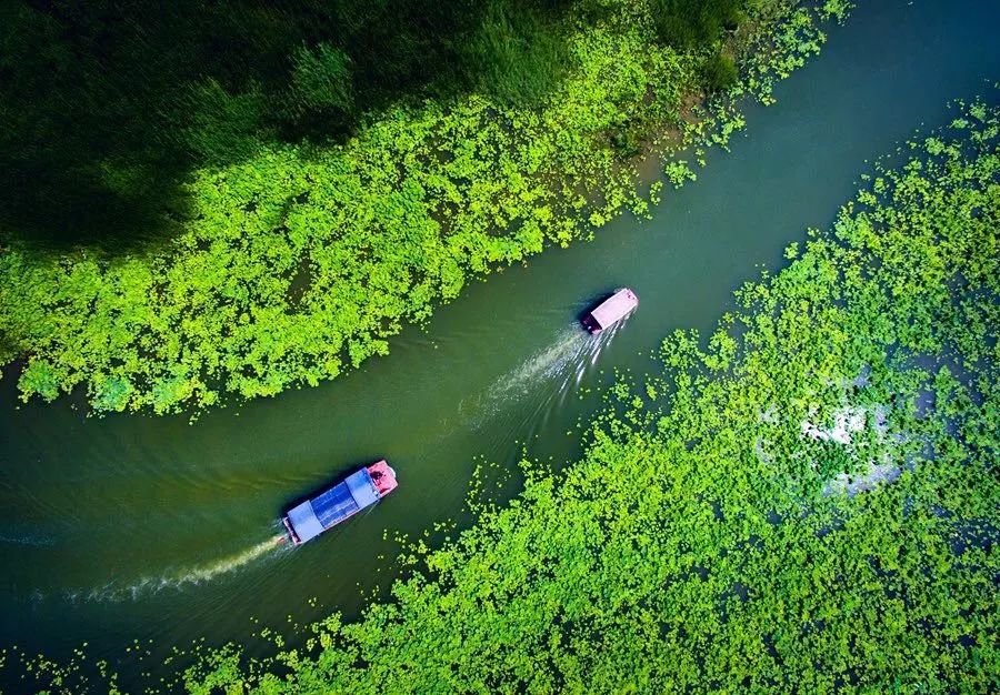 探秘山东的“齐鲁辣城”，有道菜居然能battle过川菜！
