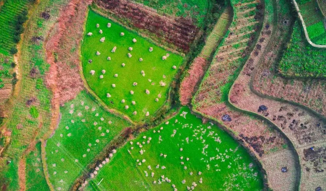 实用性村庄规划编制流程,村庄规划编制亮点做法