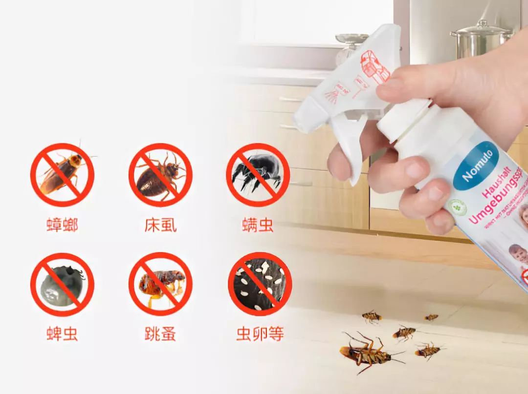 教你一招不仅能消灭蟑螂还卫生,如何灭蟑螂且不用药